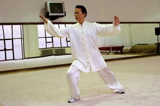 通過武術課的學習,談談你對武術的理解