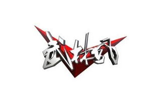 在歷史傳承中沉浮的武術