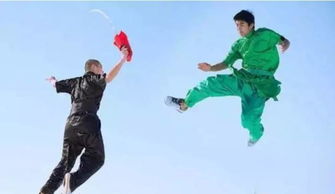 傳統文化教育將成為主流教育 武術果然被列入高考專項