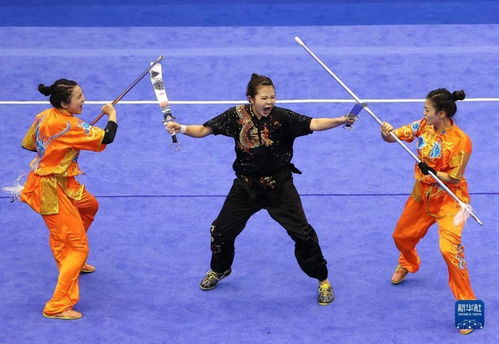 武術(shù)套路 學(xué)青會(huì) 大學(xué)組女子對(duì)練賽況