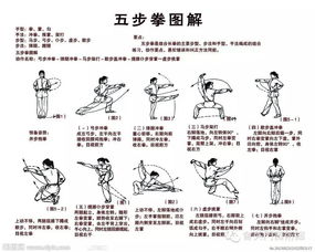 中國傳統武術的訓練順序與方式