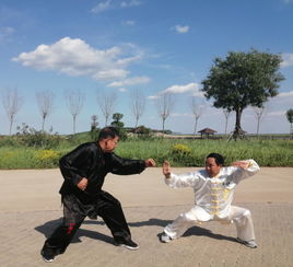 首屆國際傳武聯盟大會弘揚中華傳統武術文化 助力推動南大港全域旅游發展