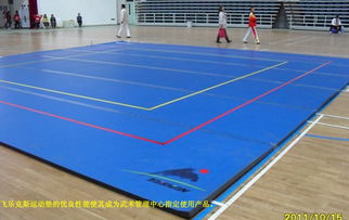 濰坊武術地毯生產廠家正規物流發貨放心選購