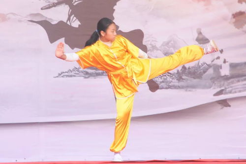 以武會友 沙井舉辦首屆傳統武術交流大會