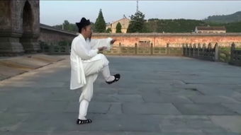 武當山武術 &ndash;