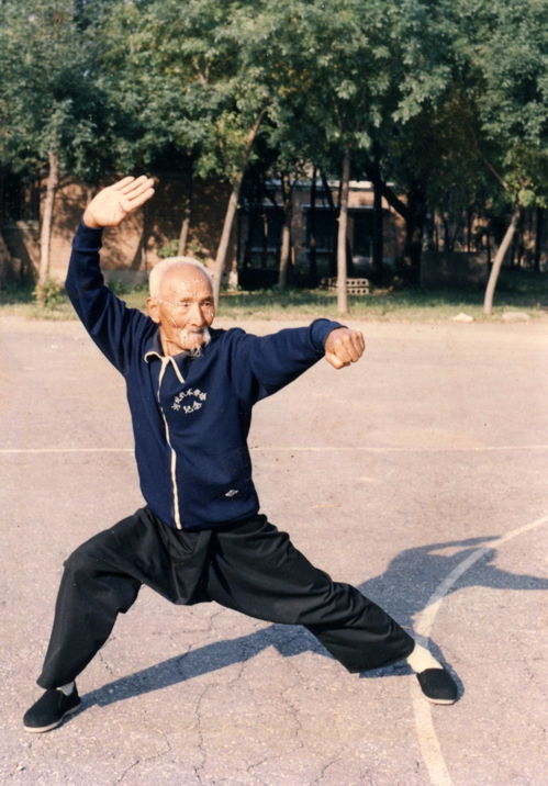 滄州武術 燕青拳