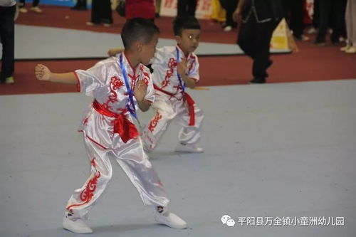 萬全鎮小童洲幼兒園武術代表隊在浙江平陽 全國南拳公開賽中喜獲佳績