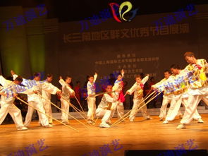 南京激光舞與上海武術演出價格及型號規格對比