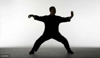 陳式太極拳老架一路動作教學 單鞭、雀地龍與上步七星詳解