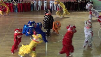 武術(shù)——中華文化的瑰寶