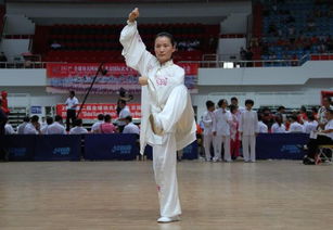 北京武術(shù)隊(duì) 傳統(tǒng)與現(xiàn)代的交融