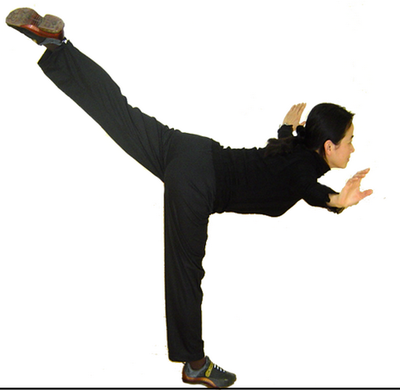 燕式平衡與仰身平衡在武術中的肌肉用力分析