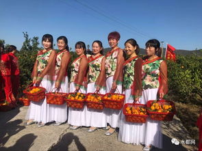 武術盛宴 現代格斗與傳統技藝的交融