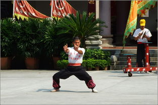 佛山黃飛鴻武術 傳統與現代的完美融合