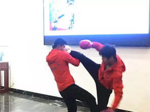 戰太極 中華武術文化的新動力