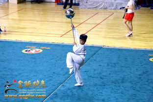 武動京城，以武會友——2016第三屆北京國際武術文化節盛大開幕