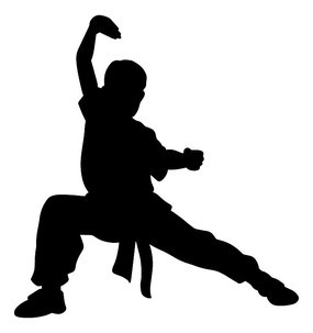 武之剪影 光影流轉間的武術魂